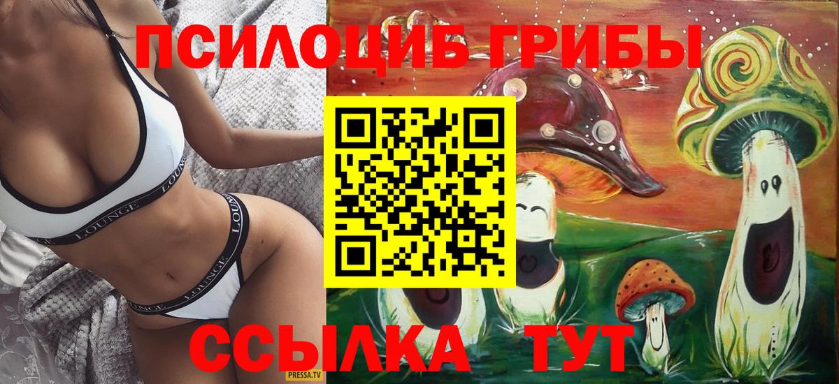 Галлюциногенные грибы GOLDEN TEACHER  что такое   Вход с VPN  Кирово-Чепецк  Псилоцибиновые грибы GOLDEN TEACHER 